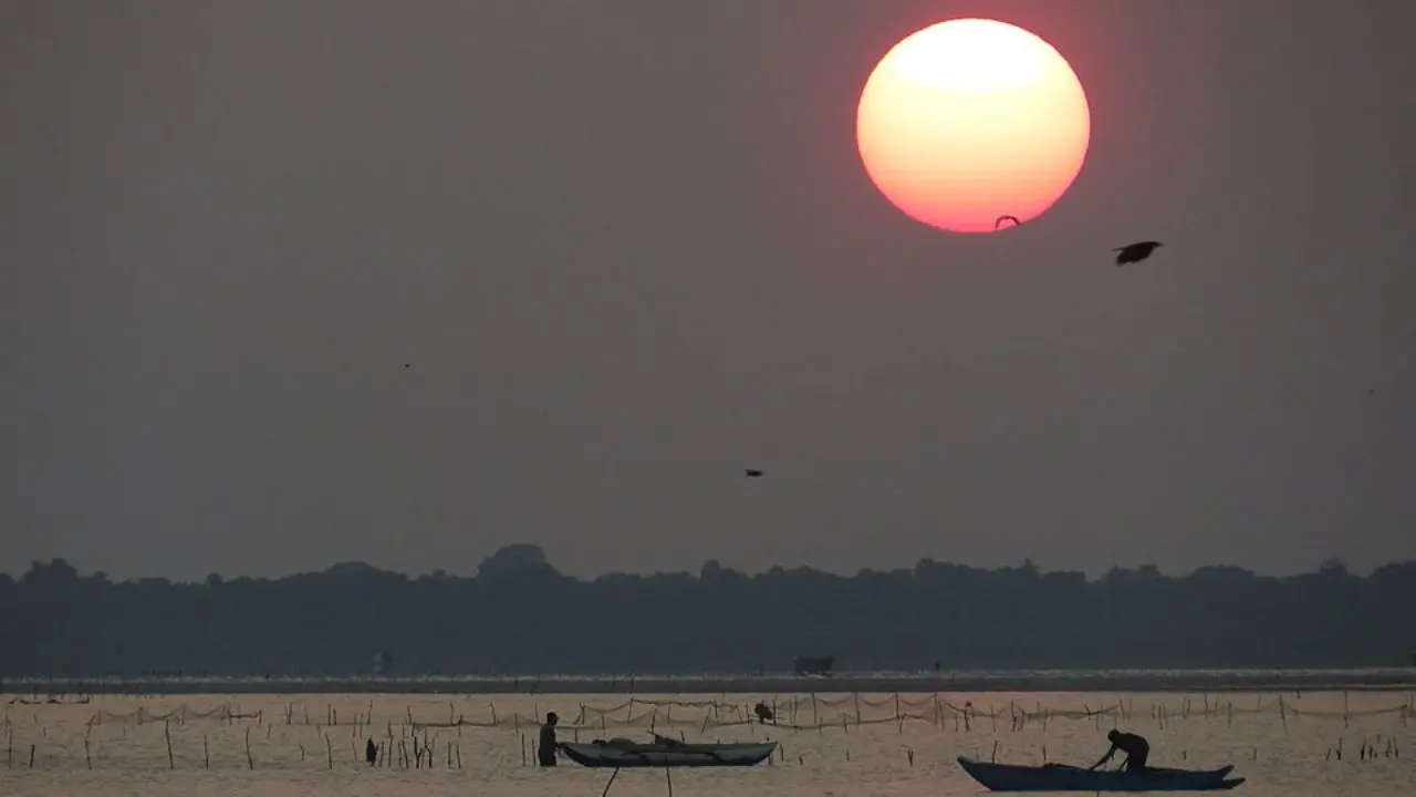 Kokkilai Lagoon Sanctuary – A Quiet Bird Paradise in Northern Sri Lanka